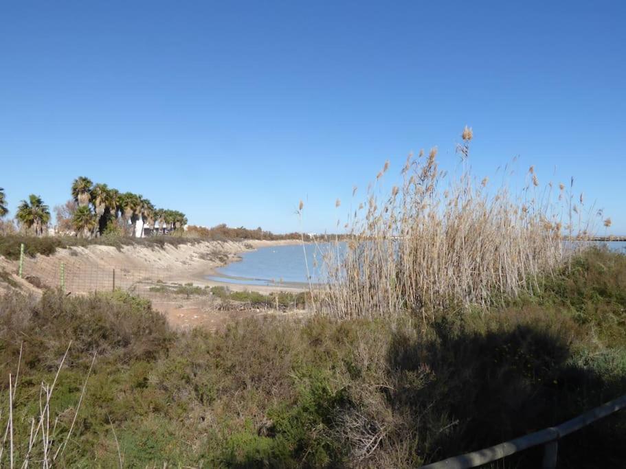 Maison Renovee A 250M De La Mer 圣地亚哥德拉里贝拉 外观 照片